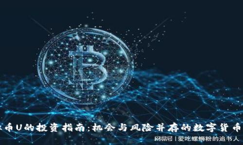 虚拟币U的投资指南：机会与风险并存的数字货币世界