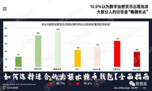 如何选择适合的大额比特币钱包？全面指南