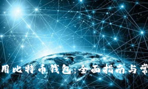 如何正确使用比特币钱包：全面指南与常见问题解答