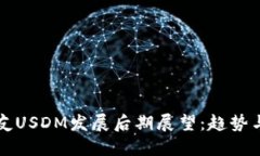刘振友USDM发展后期展望：