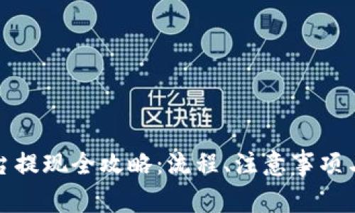 DDPay支付平台提现全攻略：流程、注意事项与常见问题解析