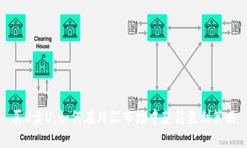 买U卖U：如何在外汇市场中获得盈利策略
