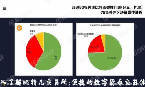 
深入了解比特儿交易所：便捷的数字货币交易体验