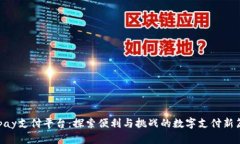 Gopay支付平台：探索便利与