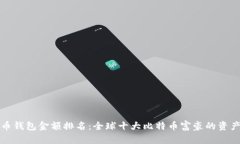 比特币钱包金额排名：全