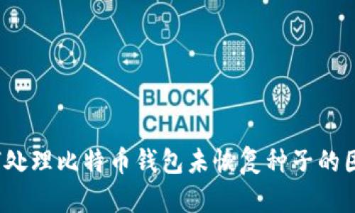 如何处理比特币钱包未恢复种子的困境？