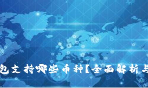 比特币钱包支持哪些币种？全面解析与使用指南