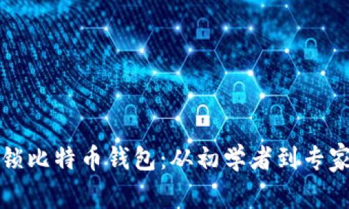 如何安全解锁比特币钱包：从初学者到专家的全面指南