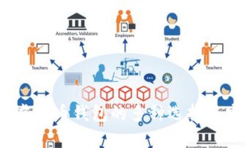 全面解析：虚拟币钱包的多种选择与安全性比较