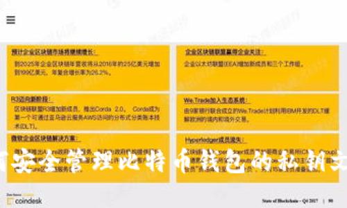 如何安全管理比特币钱包的私钥文件？