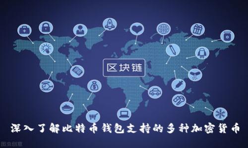 深入了解比特币钱包支持的多种加密货币