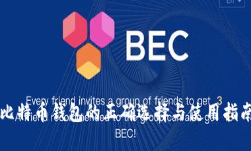 比特币钱包的正确选择与使用指南