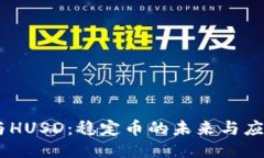 USDT与HUSD：稳定币的未来与