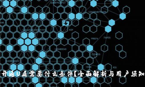 开通U盾需要什么条件？全面解析与用户须知