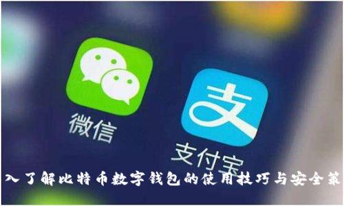 深入了解比特币数字钱包的使用技巧与安全策略
