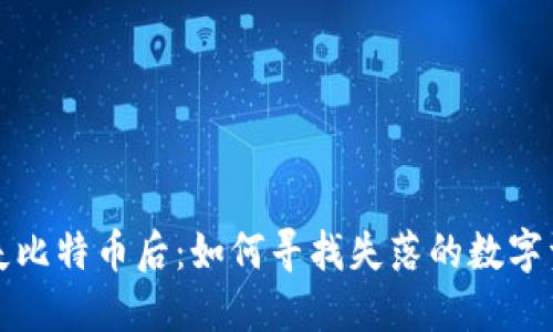 内容开始

当麦子钱包丢失比特币后：如何寻找失落的数字资产与应对措施