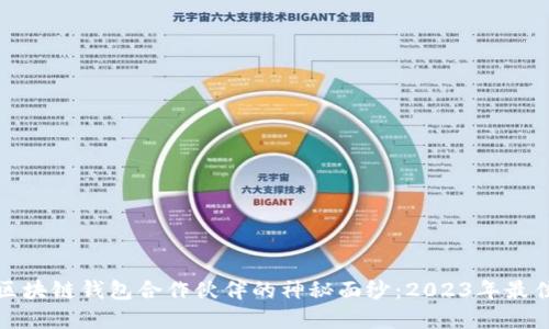 揭开区块链钱包合作伙伴的神秘面纱：2023年最佳选择