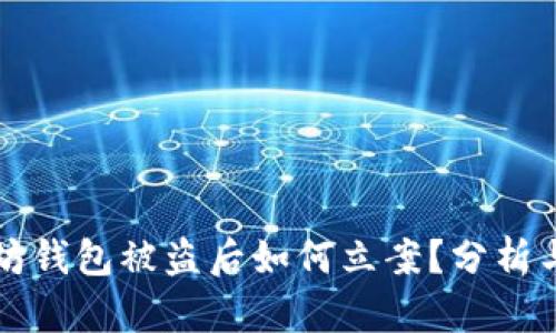 以太坊钱包被盗后如何立案？分析与建议