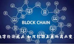 数字经济龙头：如何引领