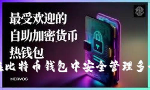 如何在比特币钱包中安全管理多个地址