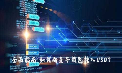 全面指南：如何向麦子钱包转入USDT