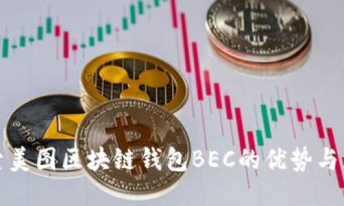 探索美图区块链钱包BEC的优势与应用