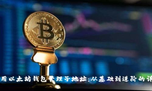 如何使用以太坊钱包管理子地址：从基础到进阶的详尽指南