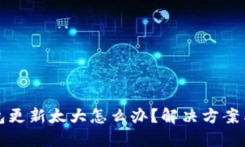 比特币钱包更新太大怎么办？解决方案与策略全解