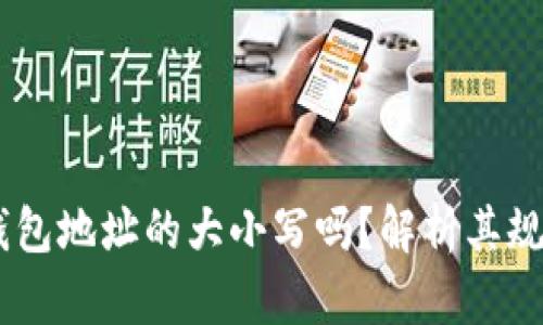 你知道USDT钱包地址的大小写吗？解析其规则与使用技巧