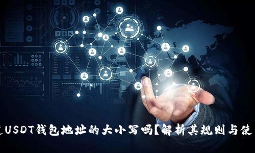 你知道USDT钱包地址的大小写吗？解析其规则与使用技巧