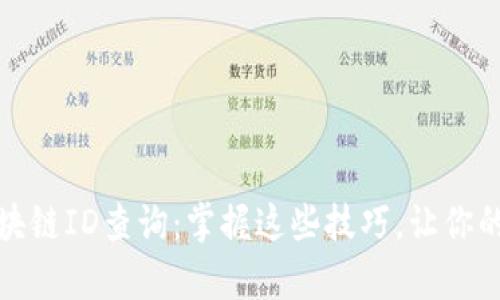 如何有效进行区块链ID查询：掌握这些技巧，让你的数字资产更安全