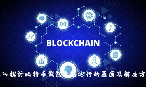 深入探讨比特币钱包无法运行的原因及解决方案
