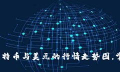 实时分析：比特币与美元