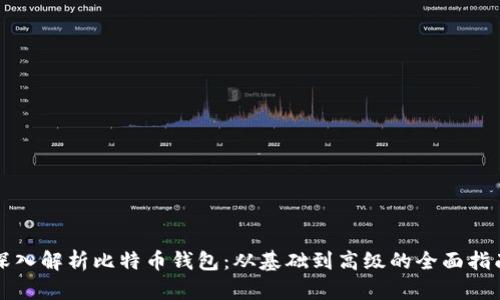 深入解析比特币钱包：从基础到高级的全面指南