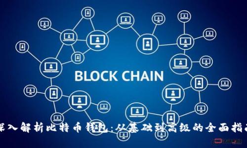 深入解析比特币钱包：从基础到高级的全面指南
