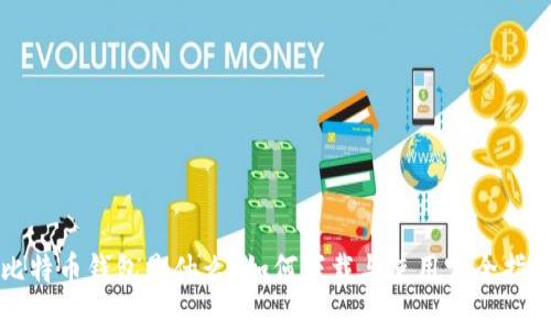 比特币钱包是什么？如何下载与使用完全指南