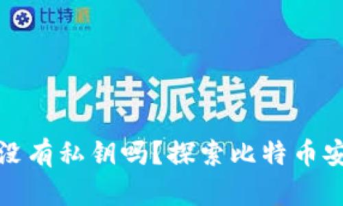 比特币钱包可以没有私钥吗？探索比特币安全与存储的奥秘