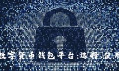 全面解析数字货币钱包平