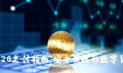 groups  USDT TRC20支付指南：