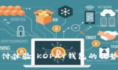 重新定义支付体验：KDPA