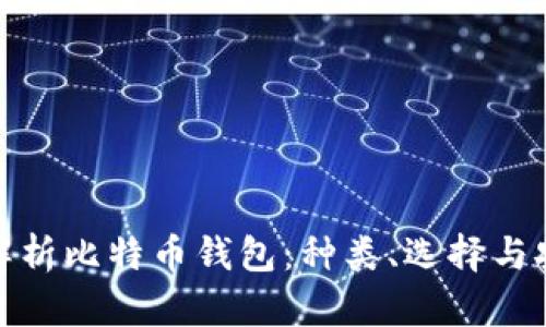 全面解析比特币钱包：种类、选择与安全性