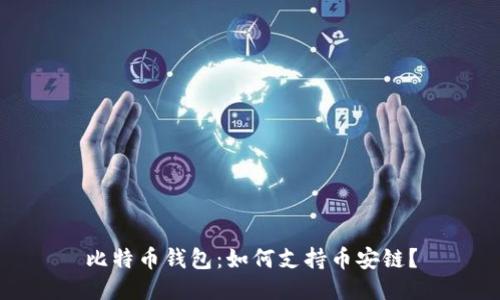 比特币钱包：如何支持币安链？