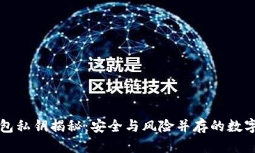 虚拟币钱包私钥揭秘：安全与风险并存的数字资产之钥