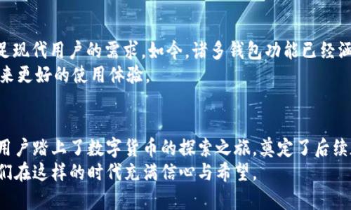 《2010年比特币钱包：数字货币的起源与变革之旅》

比特币, 数字货币, 钱包, 区块链/guanjianci

引言：数字货币的蜕变之路
在互联网飞速发展的今天，数字货币的崛起彻底改变了我们对金融的认知。2010年，是比特币历史上一个极为重要的节点。在这一年，比特币钱包不仅开始普及，更为这一新兴的经济体系奠定了基础。不可否认，这一切的起源都与一个简单而又神秘的名字“中本聪”息息相关。

比特币钱包的诞生：一场革命的起点
2010年，比特币钱包作为比特币网络的重要组成部分应运而生。比特币钱包并非类似传统银行账户那样的实体，它只是一种软件工具，用于存储比特币的私钥和公钥。换句话说，比特币钱包就像是你的数字银行，掌控着你在这一崭新数字世界中的财富。
君子之交淡如水，在比特币世界，信任的建立也是如此。由于比特币是去中心化的，用户之间的每一次交易都需要通过网络中其他用户的验证。而比特币钱包在其中充当了不可或缺的角色，它确保了交易的安全性和匿名性。

小而美的选择：2010年的比特币钱包种类
2010年，比特币钱包的种类并不多，主要分为桌面钱包、移动钱包和在线钱包。这些不同类型的钱包各有千秋，可以满足不同用户的需求。
ul
    listrong桌面钱包：/strong许多早期使用者选择桌面钱包进行比特币存储，譬如Bitcoin Core。这种钱包软件需要下载整个区块链，虽然相对繁琐，但可以提供较高的安全性。/li
    listrong移动钱包：/strong随着智能手机的普及，当年一些开发者推出了移动钱包，像是Mycelium。这类钱包让用户可以随时随地进行比特币交易，大大增加了交易的便利性。/li
    listrong在线钱包：/strong在比特币发展的早期，在线钱包如Coinbase等相继崭露头角，适合那些不想下载复杂软件的用户，但安全性相对较低。/li
/ul

比特币钱包的使用：从繁琐到便捷
刚开始使用比特币钱包的用户，往往对于如何存储和使用比特币一头雾水。然而，“不怕慢，就怕站”，在逐渐的探索中，用户们开始熟悉比特币的操作过程。通过生成私钥和公钥，用户可以轻松地进行交易。
2010年，许多技术与应用开始涌现，教育了用户如何更好地管理他们的数字资产。比如，通过二维码的生成与扫描技术，用户能够以更加直观的方式接收和发送比特币，进一步推动了比特币的使用普及。

比特币钱包的安全问题：一场对抗黑客的斗争
“金无足赤，人无完人”，比特币的安全性虽高，但仍然面临着诸多挑战。随着热门钱包的使用增多，黑客们也盯上了这块“蛋糕”。
2010年，尽管比特币的市场还不大，但却零星发生了一些黑客攻击事件。比如，Mt. Gox等交易所的安全漏洞，让一些用户的比特币资产遭受了损失。因此，用户们开始重视钱包的安全性能，开始寻找更加安全的存储方式，如冷钱包、硬件钱包等。

发展与未来：比特币钱包的演进
“时光荏苒，岁月如梭”，时至今日，比特币钱包已经历了飞速的发展。继续沿用2010年的老式钱包显然已经无法满足现代用户的需求。如今，诸多钱包功能已经涵盖交易记录分析、资产多样化、跨链交易等诸多功能。
随着技术的深入与金融理念的革新，预计未来比特币钱包将会朝着更加智能化、便捷化的方向演变，从而为用户带来更好的使用体验。

总结：2010年的比特币钱包，铭记历史的烙印
回顾2010年，比特币钱包不仅仅是一个简单的存储工具，它象征着一种全新的经济理念的出生。这一年，无数早期用户踏上了数字货币的探索之旅，奠定了后续数字金融的基础。正如谚语所说，“千里之行，始于足下”，比特币钱包是那第一步，虽小却足以改变历史。
今天，在数字货币日益普及的背景下，我们更需感恩那段悠久而富有传奇的历史，正是2010年的比特币钱包，让我们在这样的时代充满信心与希望。