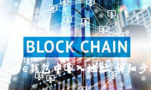 如何在比特币Core钱包中导入地址：详细步骤与注意事项