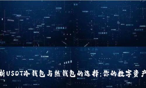 : 深入解析USDT冷钱包与热钱包的选择：你的数字资产保护之道