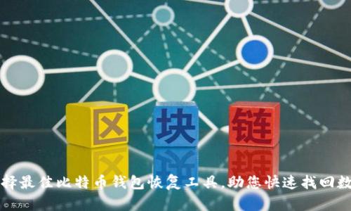 如何选择最佳比特币钱包恢复工具，助您快速找回数字资产