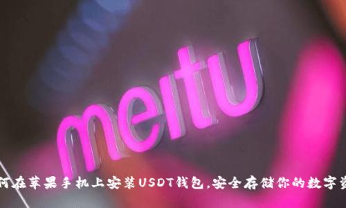 如何在苹果手机上安装USDT钱包，安全存储你的数字资产