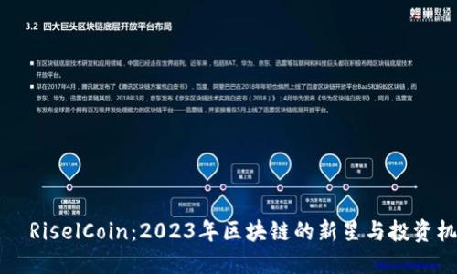 币昇RiselCoin：2023年区块链的新星与投资机遇