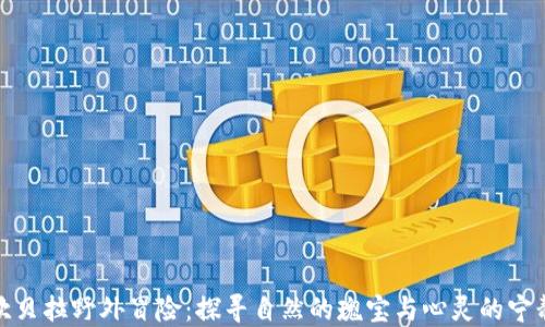 
坎贝拉野外冒险：探寻自然的瑰宝与心灵的宁静